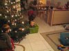 Video JL_05_12_31_b
